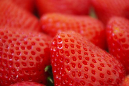 Cygnetのストロベリーファーム！チェリーピッキングのため前乗りを考えている人は要チェック！